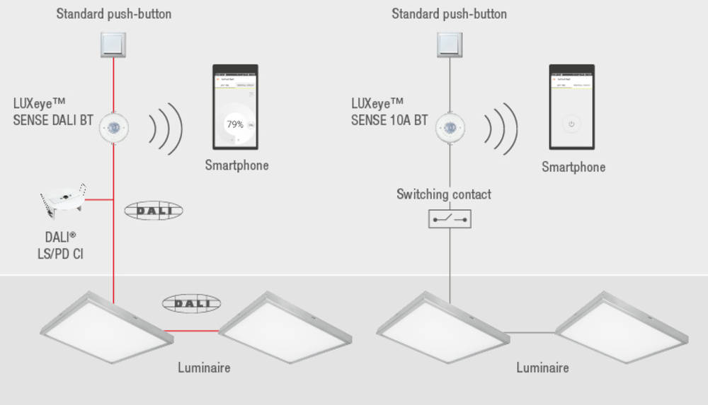 Ledvance Präsenzmelder LUXEYE SENSE DALI BT