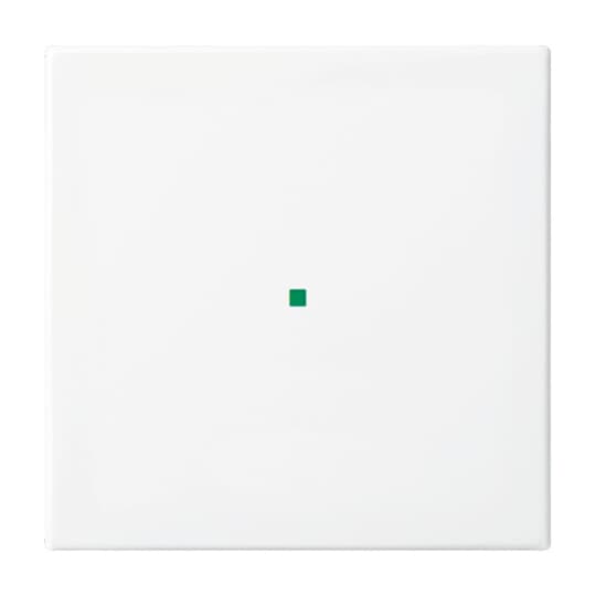 Busch-Jaeger Wippe aws Busch-balance SI 6230-10-914