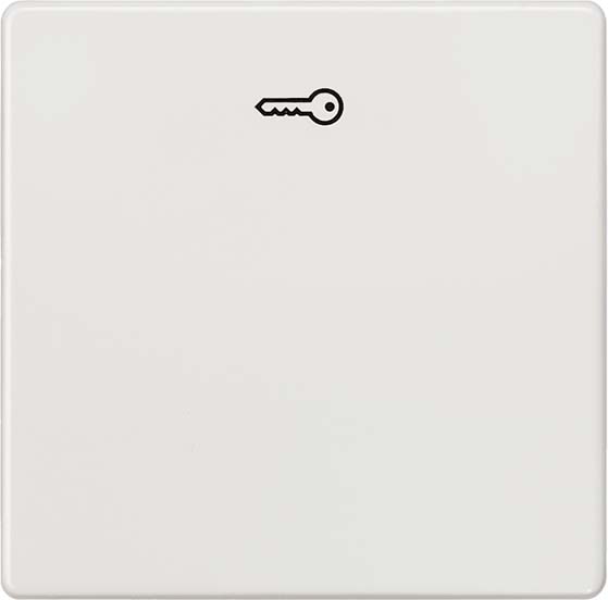 Siemens Dig.Industr. i-system Wippe tws m.Symbol Türöffner 5TG6208