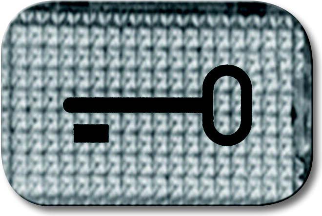 Busch-Jaeger Tastersymbol Schlüssel 2145 TR