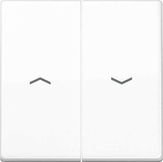 Jung Wippe Symbole aws für Taster AS 591-5 P WW