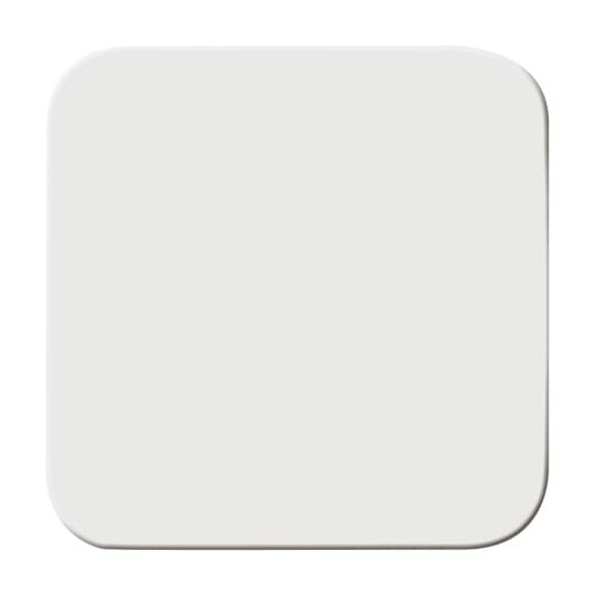 Busch-Jaeger Wippe aws m.geschl.Oberfläche 2506-214