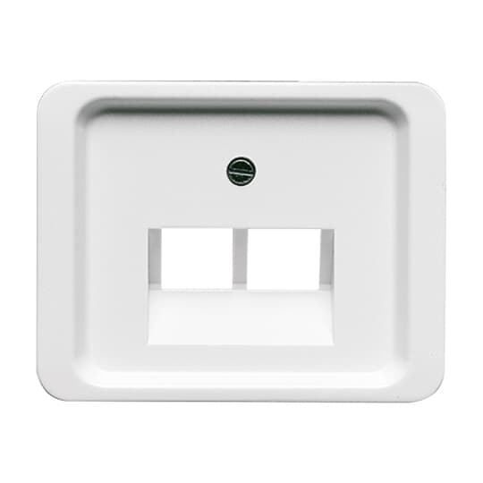 Busch-Jaeger Zentralscheibe stws gl f.UAE-Anschlussdo.2f 1803-02-24G