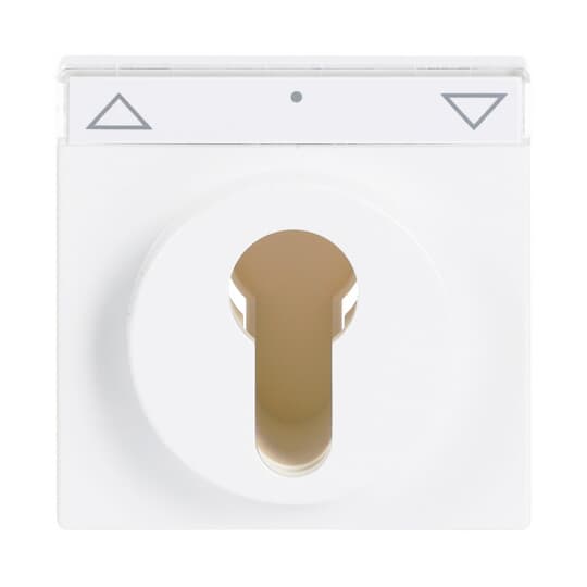 Busch-Jaeger Zentralscheibe dav/sws f.Schlüsselschalter 1755 SL/PZ-84-101