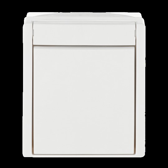 Busch-Jaeger Kreuzschalter 2601/7 W-54