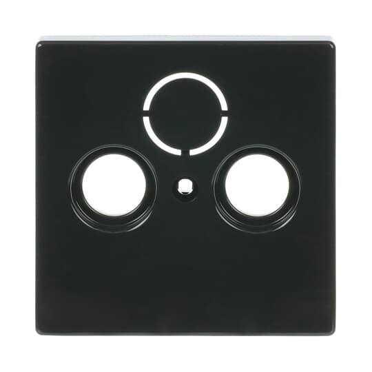Busch-Jaeger Zentralscheibe anth f.Antennendose 2Loch 1743-81