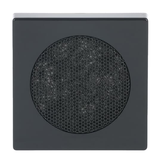 Busch-Jaeger Zentralscheibe anthrazit f.EB-Lautsprecher 8253-81