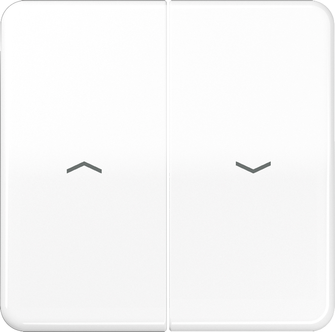 Jung Wippe Symbole aws für Jal.Schalter CD 595 PBF WW