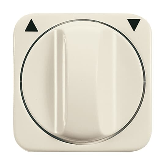 Busch-Jaeger Zentralscheibe ws Jalousie,m.Drehgriff 2542 DR-212