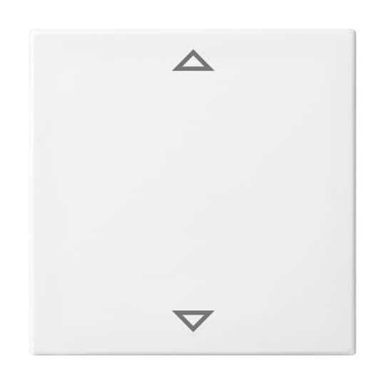 Busch-Jaeger Bedienelement aws Jalousie/Zeitschalt 6430-914-102