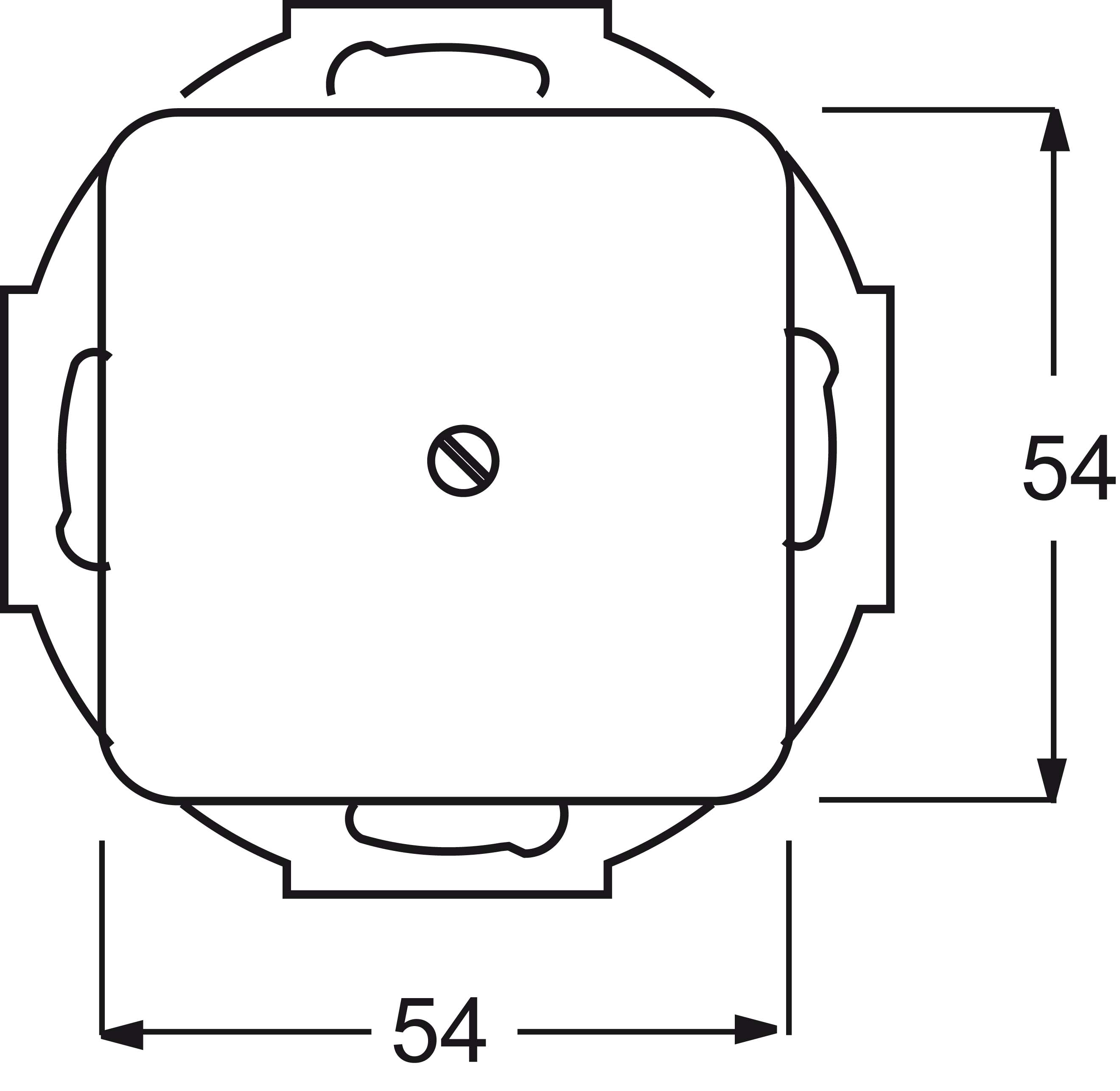 Busch-Jaeger Blindzentralscheibe aws mit Tragring 2538-214