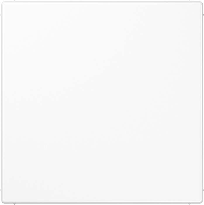 Jung Blind-Abdeckung aws kompl.mit Tragring LS 994 B WW