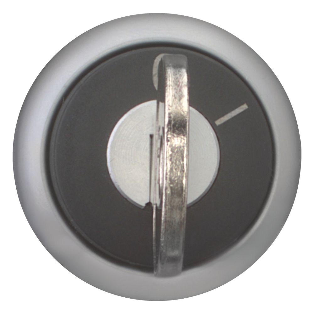 Eaton (Moeller) Schlüsseltaste 2 Stell. M22-WRS-A1 Eaton (Moeller) Schlüsseltaste 2 Stell. M22-WRS-A1