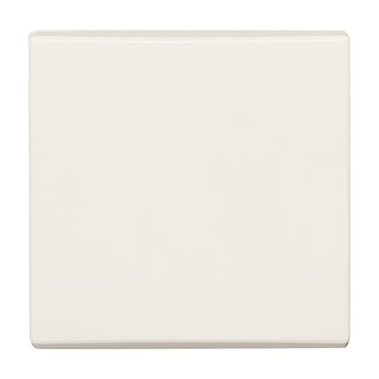 Busch-Jaeger Wippe cws Aus,Wechsel,Kreuz 2106-32