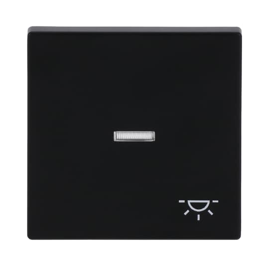 Busch-Jaeger Wippe sw mt mit Symbol Licht 1789 LI-885