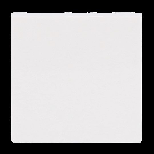 Busch-Jaeger Wippe aws Busch-balance SI 2506-914