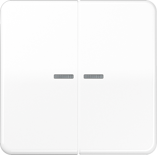 Jung Wippe Lichtleiter aws für Taster CD 595 KO5 WW