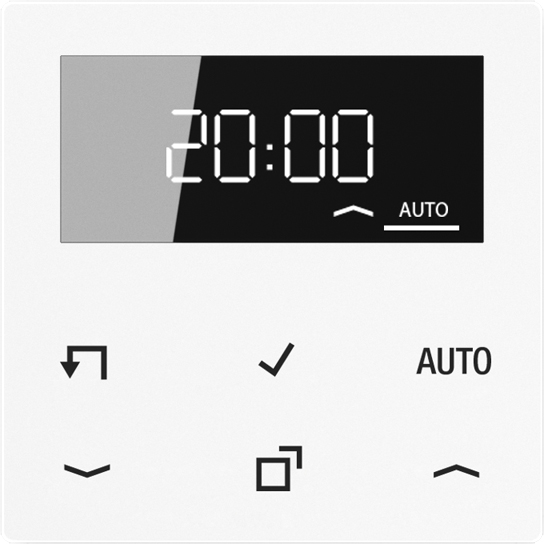 Jung Timer Standard, Display Echtglasfront A 1750 D WW