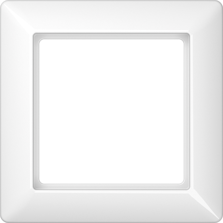 Jung Rahmen 1-fach aws waage/senkrecht AS 581 WW