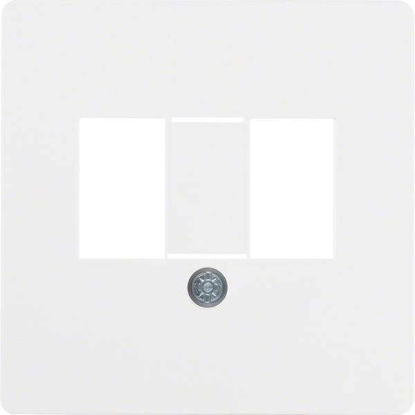 Berker Zentralplatte f.TAE-Anschlussdose 145809