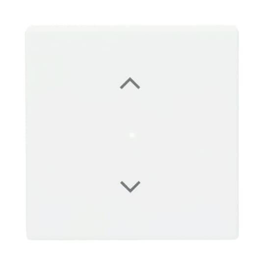 Busch-Jaeger Wippe studiows mt future linear 6232-10-884