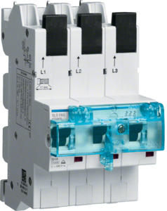 Hager SLS-Schalter 3P E-63A, für SS HTS363E