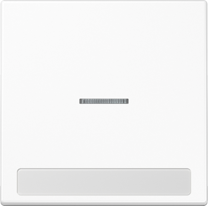 Jung Wippe Licht./Schriftf.aws für Schalter/Taster LS 990 NAKO5 WW