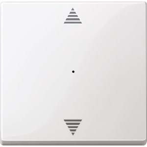 Merten Wippe pws/gl 1f,Pfeile,Syst.M MEG5215-0319