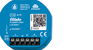 Eltako Funk-Lichtaktor FL62NP-230V