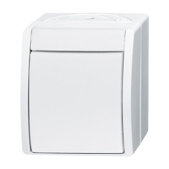 Busch-Jaeger Wechselschalter 2601/6 W-54