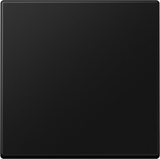 Jung Wippe f.Schalter/Taster A 590 SWM