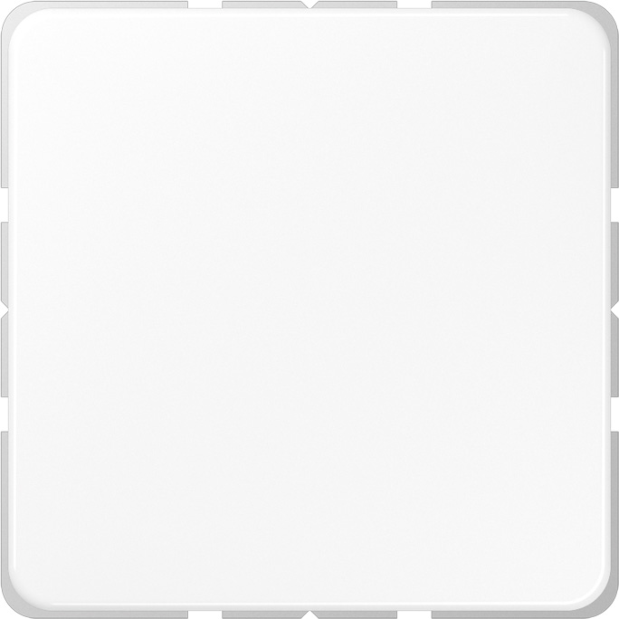 Jung Blind-Abdeckung aws kompl.mit Tragring CD 594-0 WW