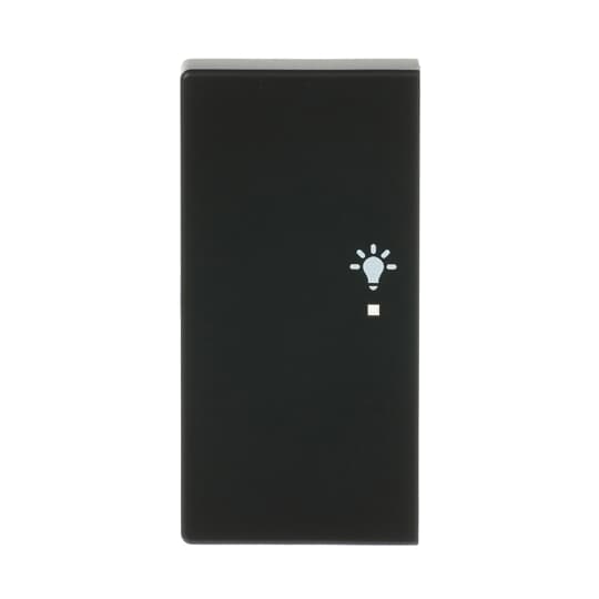 Busch-Jaeger Wippe sw mt future linear 6231-21-885