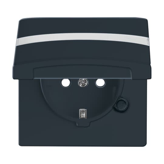 Busch-Jaeger Schuko-Steckdoseneinsatz IP44 anthrazit 20 EUGKBN-35-101