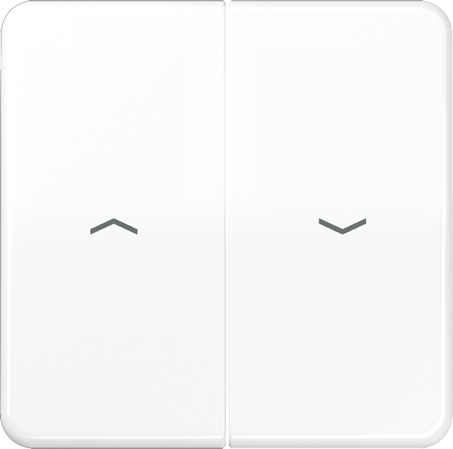 Jung Wippe Symbole aws für Taster CD 595 P WW
