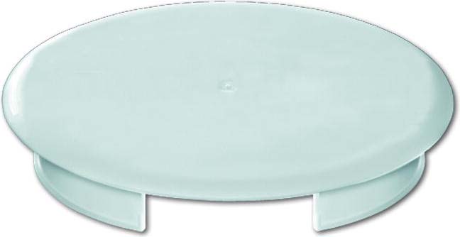 Busch-Jaeger Blinddeckel 8229/3