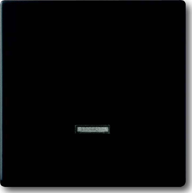 Busch-Jaeger Bedienelement Memory 6543-885-101