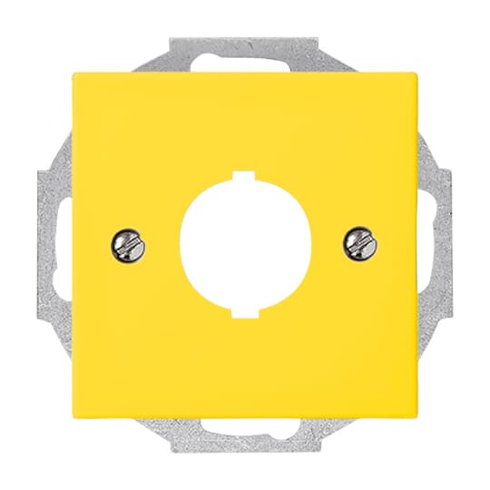 Busch-Jaeger Zentralscheibe gelb f.Datenkommunikation 2533-914-15
