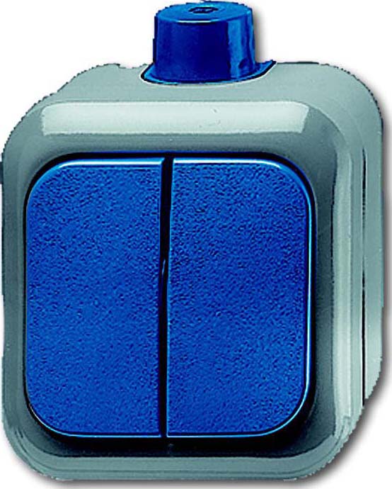 Busch-Jaeger Serienschalter AP 2601/5 WDI