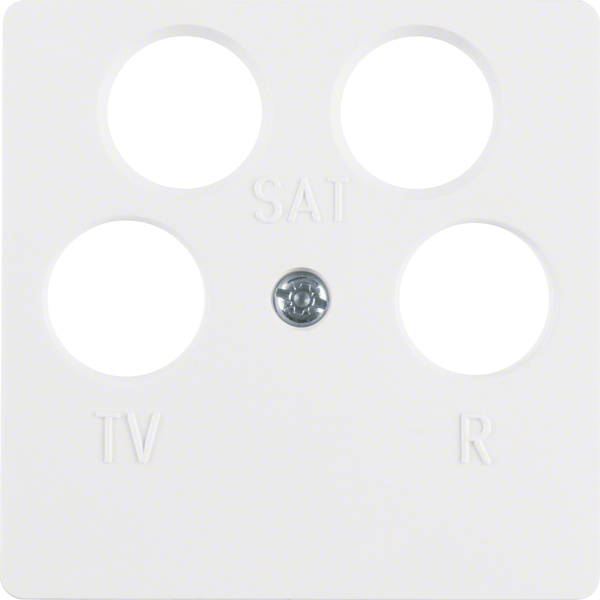 Berker Zentralplatte pws 4 Loch 14841909