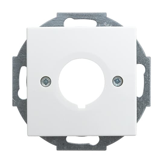Busch-Jaeger Zentralscheibe alpinws f.Datenkommunikation 2533-914