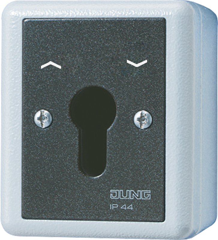 Jung Schlüsselschalter 10AX 250V 2-pol. 834.28 G
