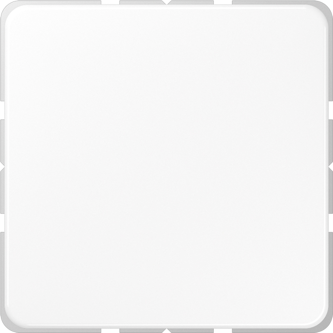 Jung Blind-Abdeckung aws kompl.mit Tragring CD 594-0 WW