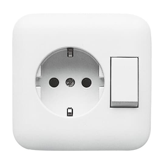 Busch-Jaeger Kombination ws Steckd.+We.schalter 4310/6 EUJ-214