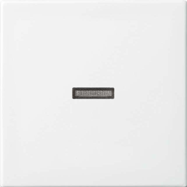 Busch-Jaeger Wippe aws Busch-balance SI 1789 N-914