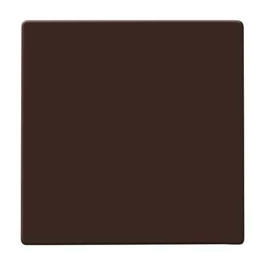 Busch-Jaeger Wippe braun Aus,Wechsel,Kreuz 2106-31