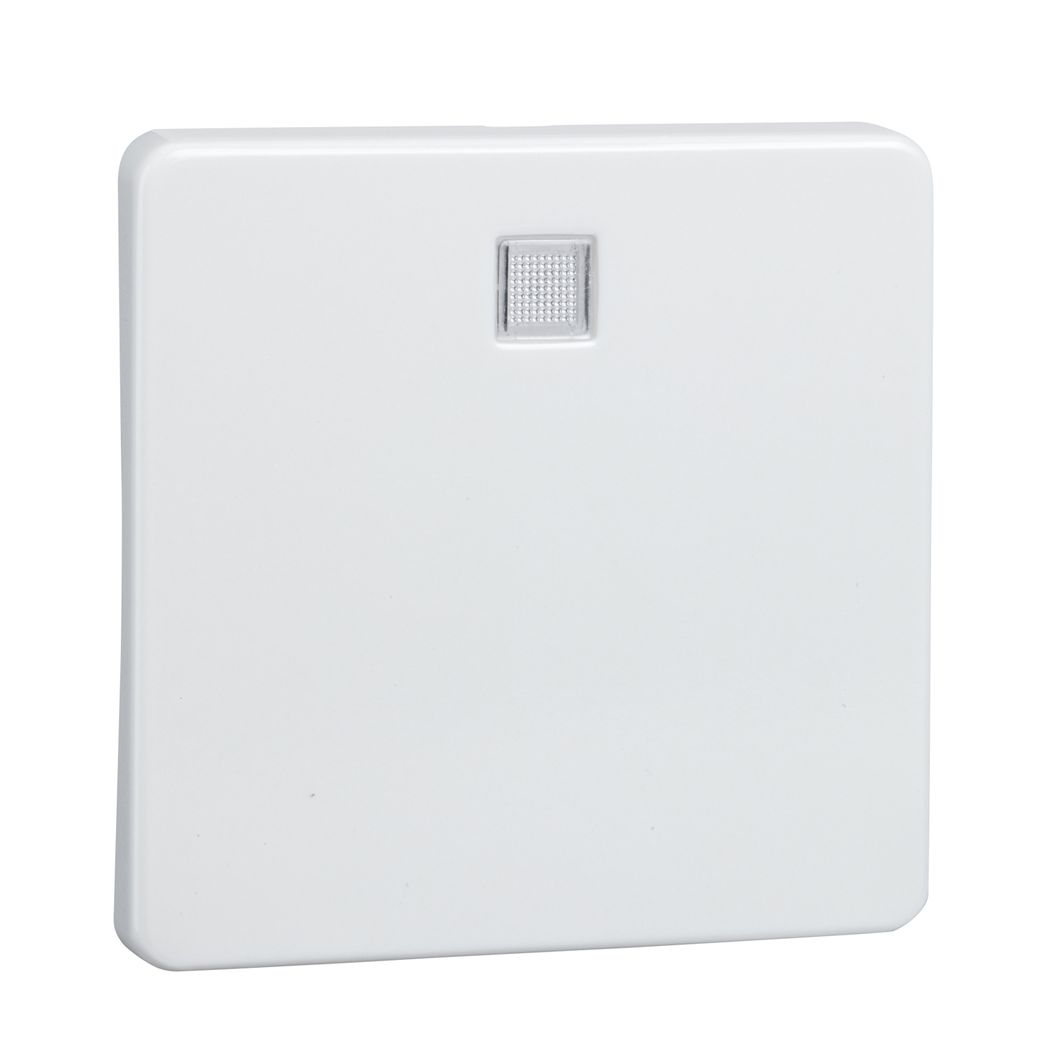 Elso Wippe rw f.bel.Tast./Schalter 213614 Elso Wippe rw f.bel.Tast./Schalter 213614