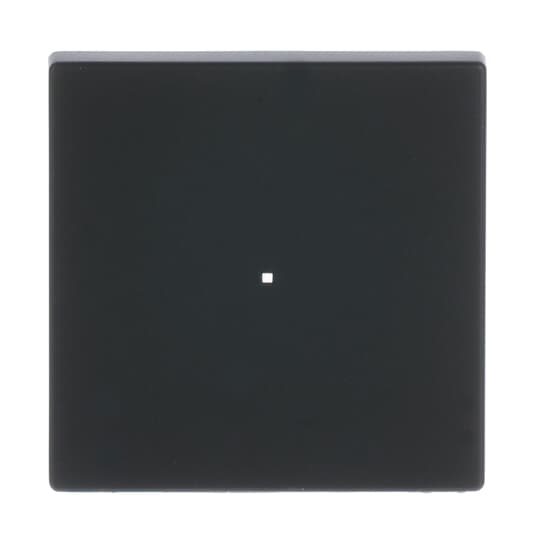 Busch-Jaeger Wippe sw mt future linear 6230-10-885