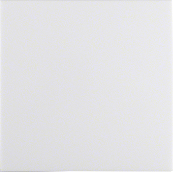 Berker Wippe pws/gl 16208989