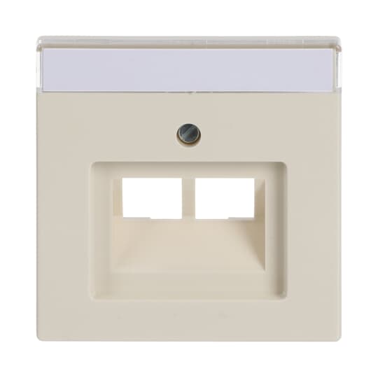 Busch-Jaeger Zentralscheibe sav/ews f.UAE-Anschlussdo.2f 1803-02-82